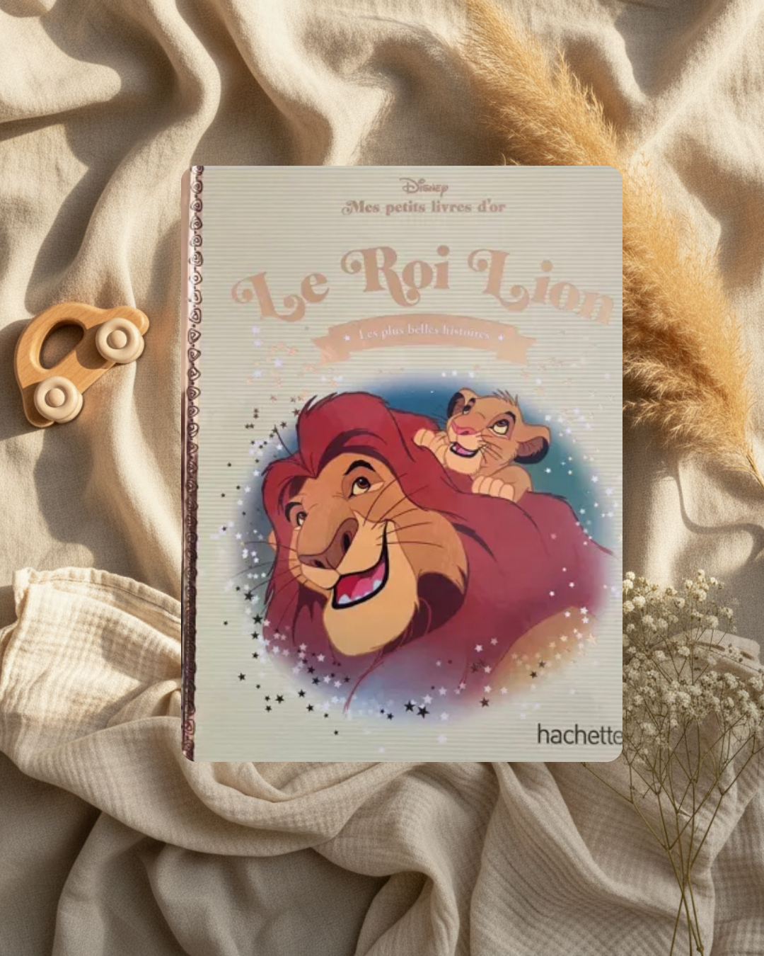 Livre - Le roi lion - (français)