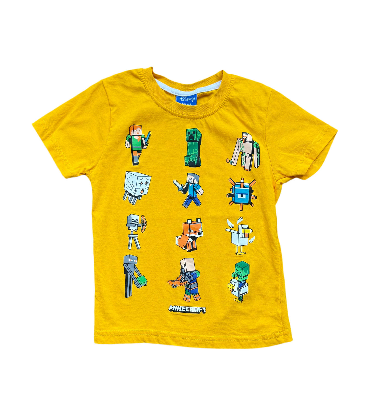 Minecraft 4-5 ans