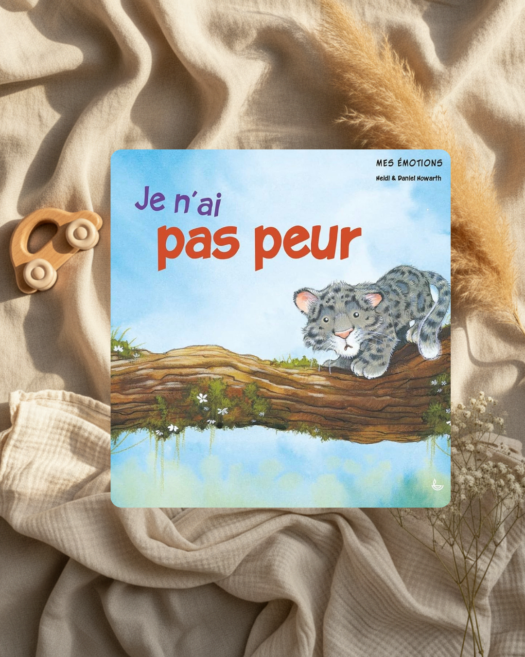 Livre - Qu’est-ce qui me fait peur ? - (français)