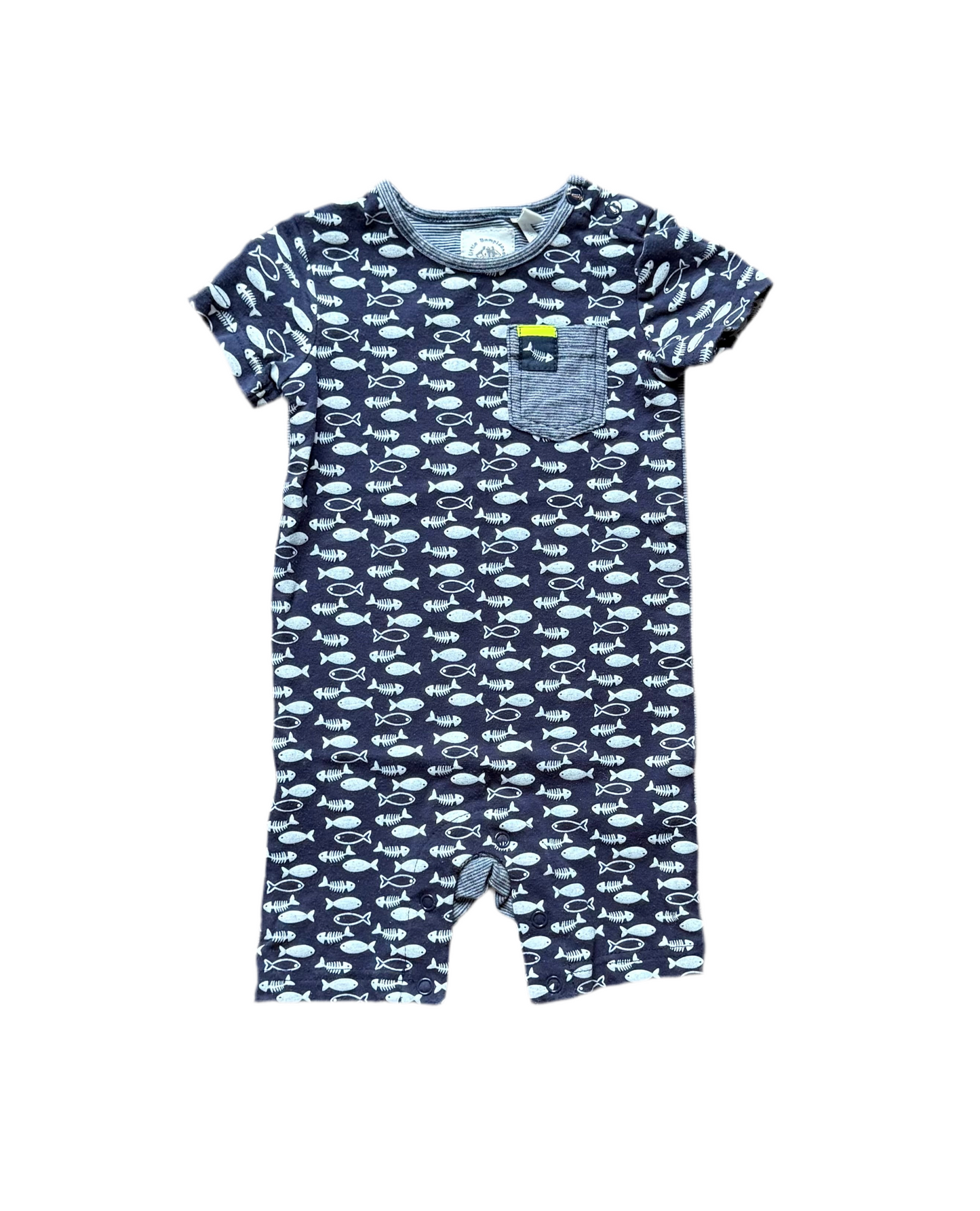 Little Bampidano 6 mois