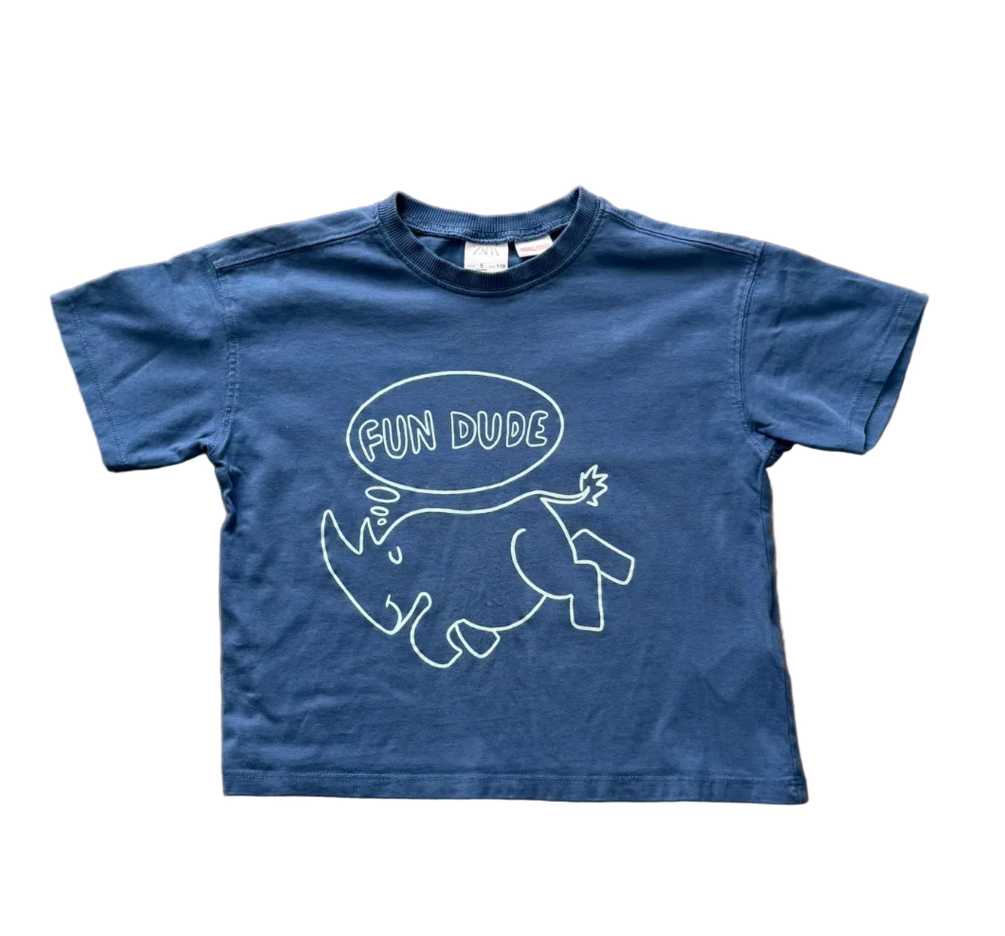 T-shirt bleu 5 ans Zara, imprimé dinosaure «FUN DUDE»