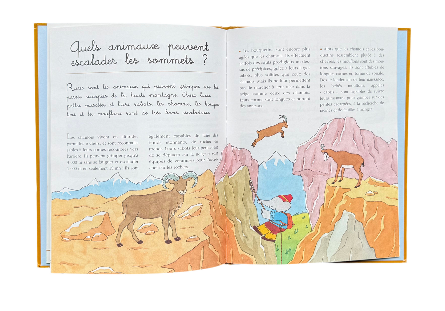 Dis-moi pourquoi Babar « La montagne » (français)