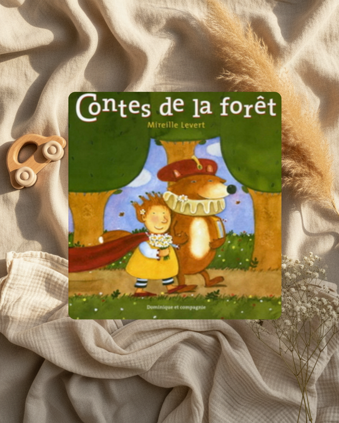 Livre - Contes de la forêt - (français)