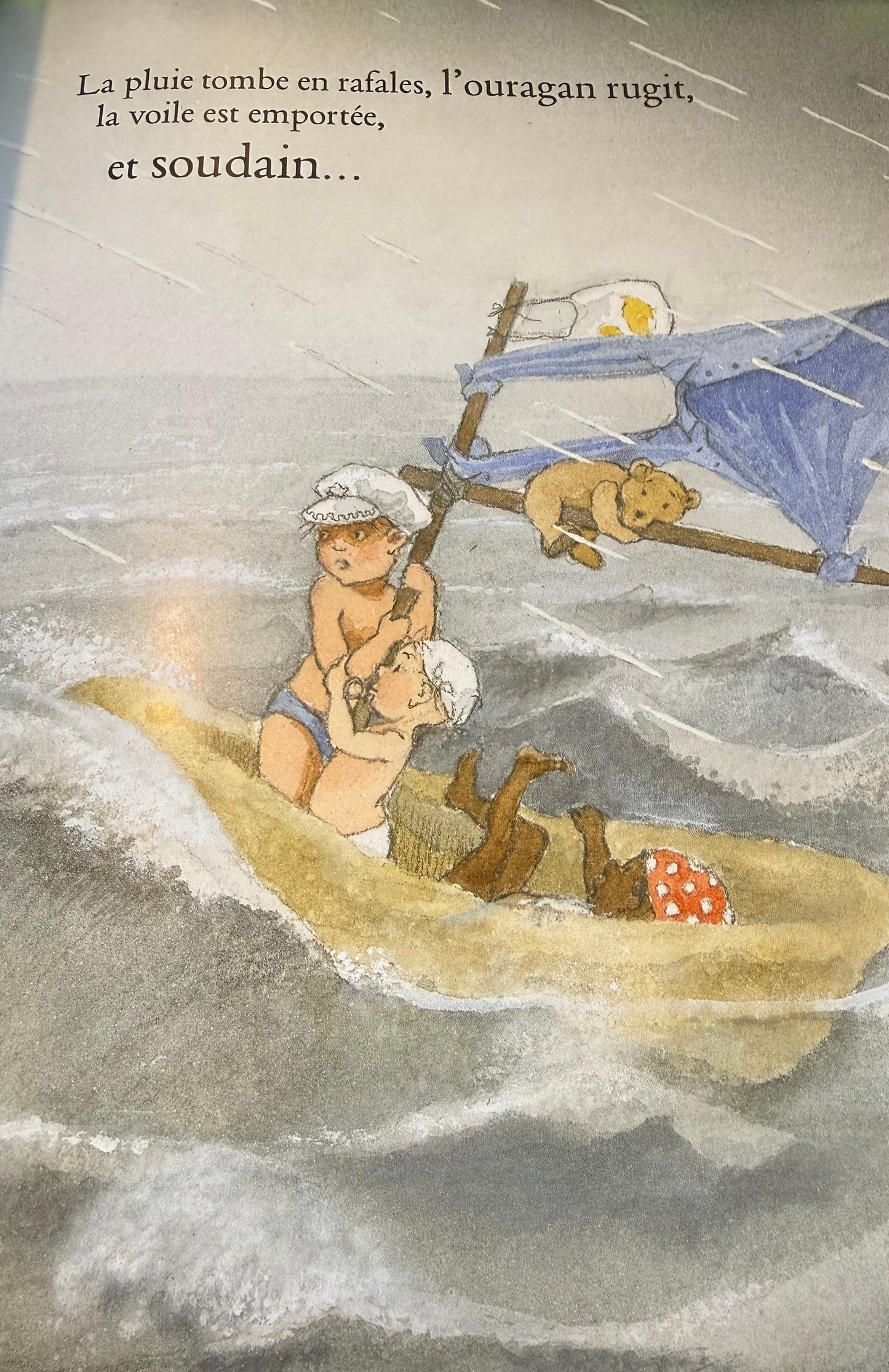 Livre - Capitaine Jules et les pirates - (français)
