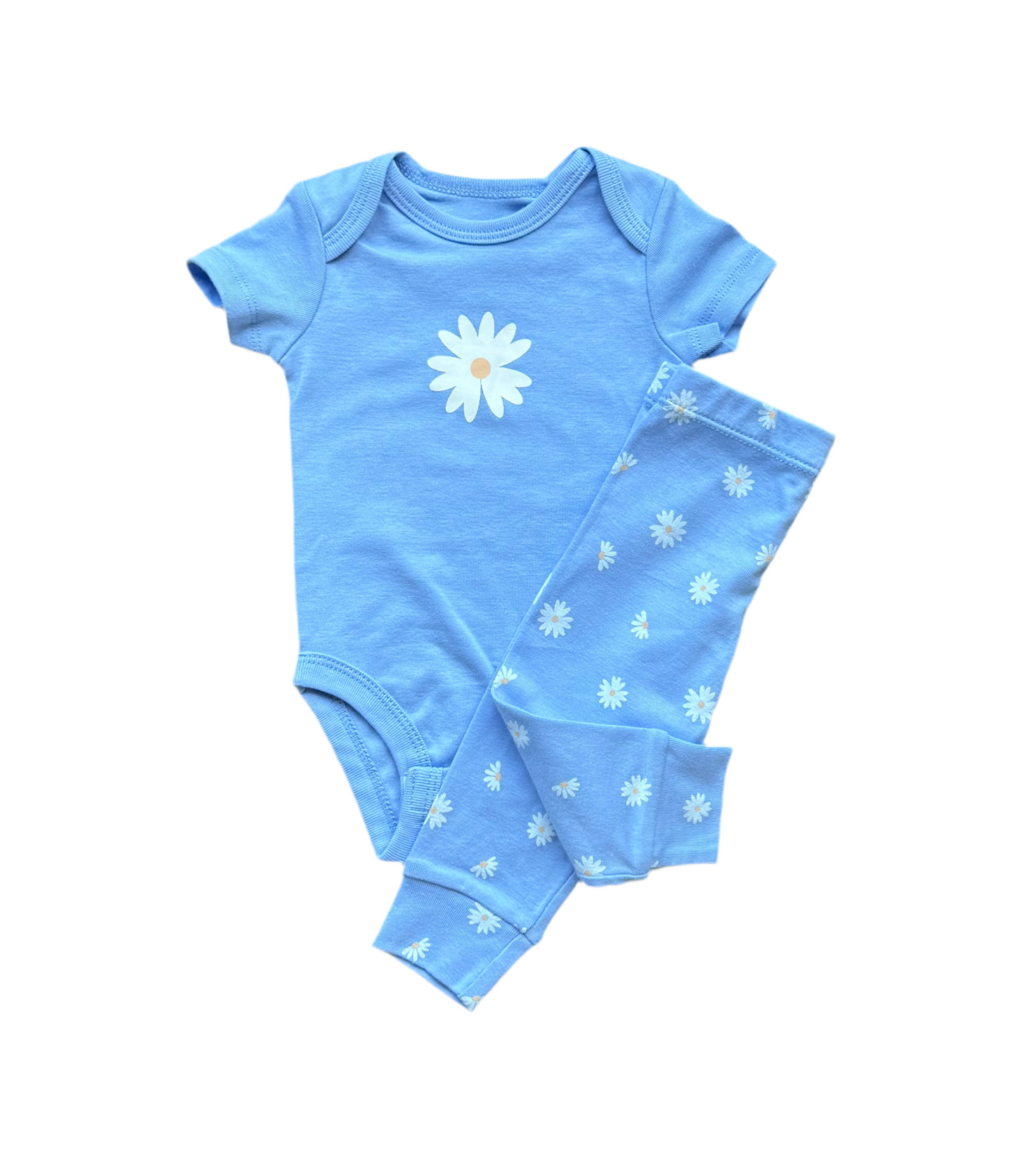 Pekkle 3 mois *Neuf*