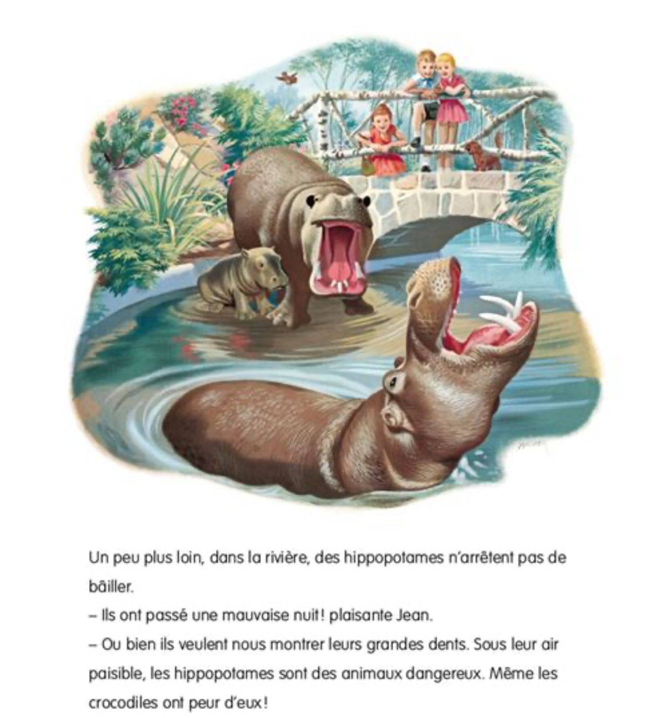 Martine « petites histoires avant d’aller dormir » (français)