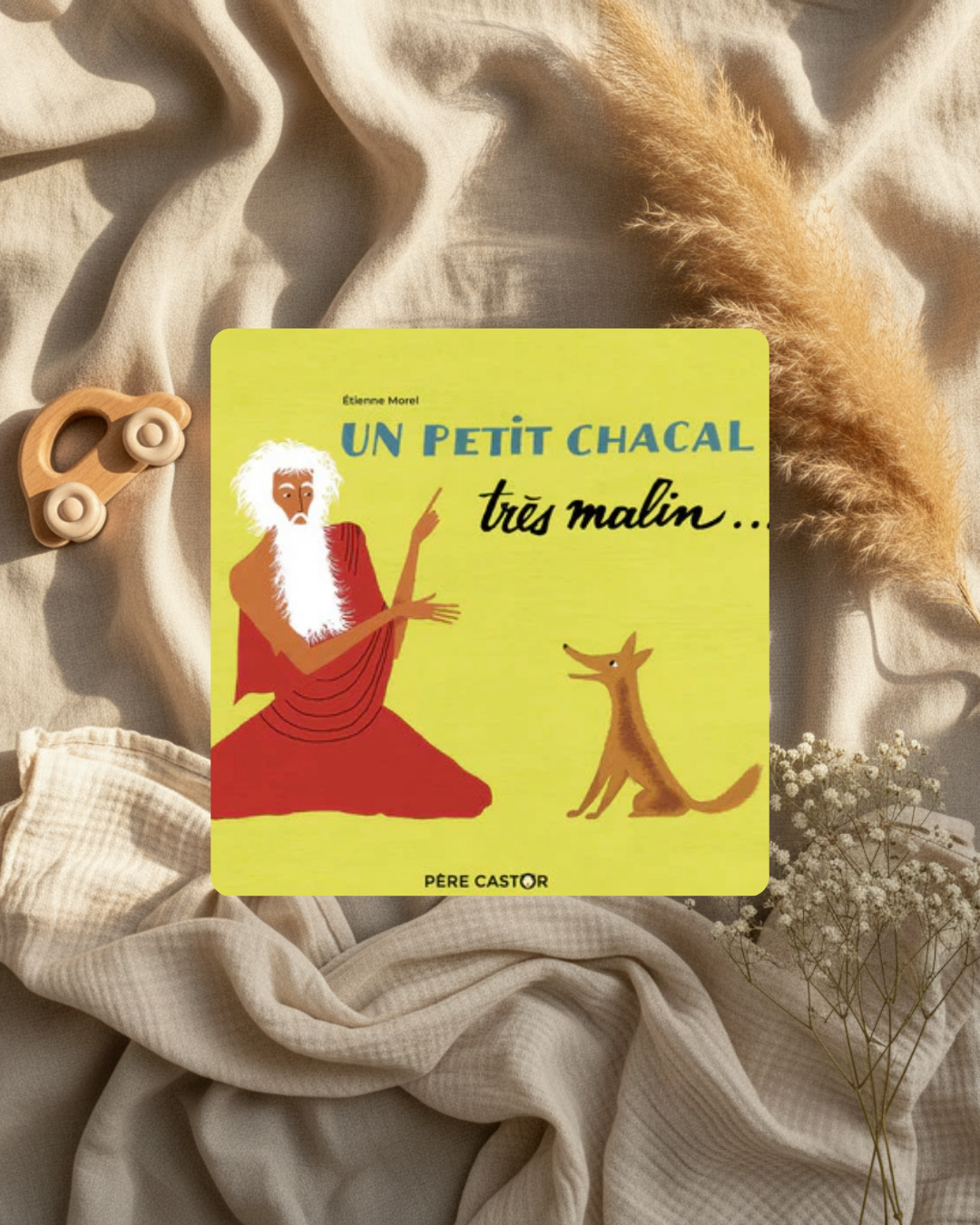Livre - Un petit Chacal - (français)