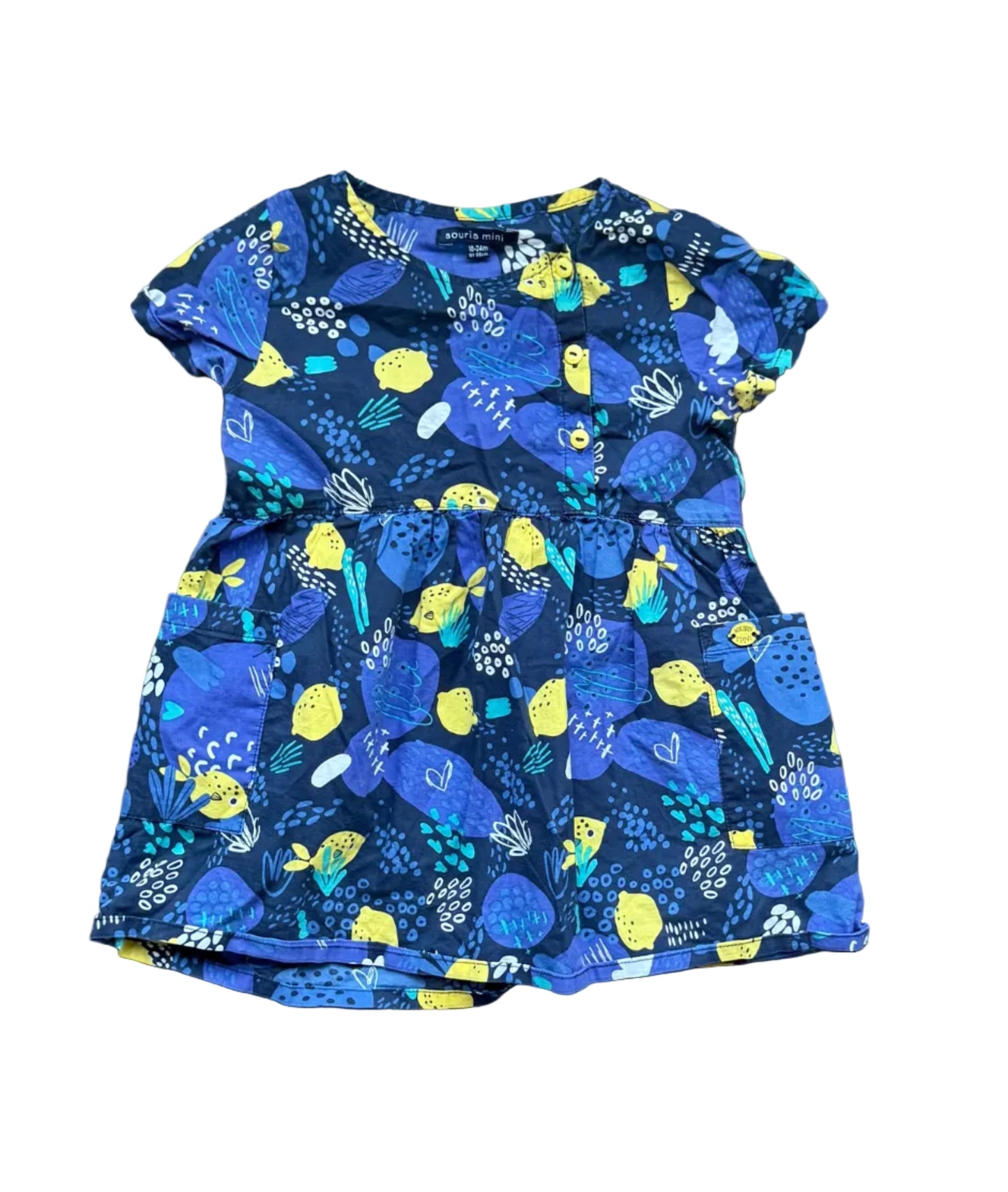 Robe bébé à manches courtes bleue à motifs animaux, taille froncée, 18–24 mois