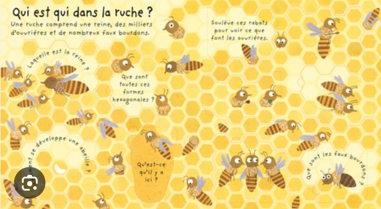 Livre « Pourquoi a-t-on besoin des abeilles ? (Francais)