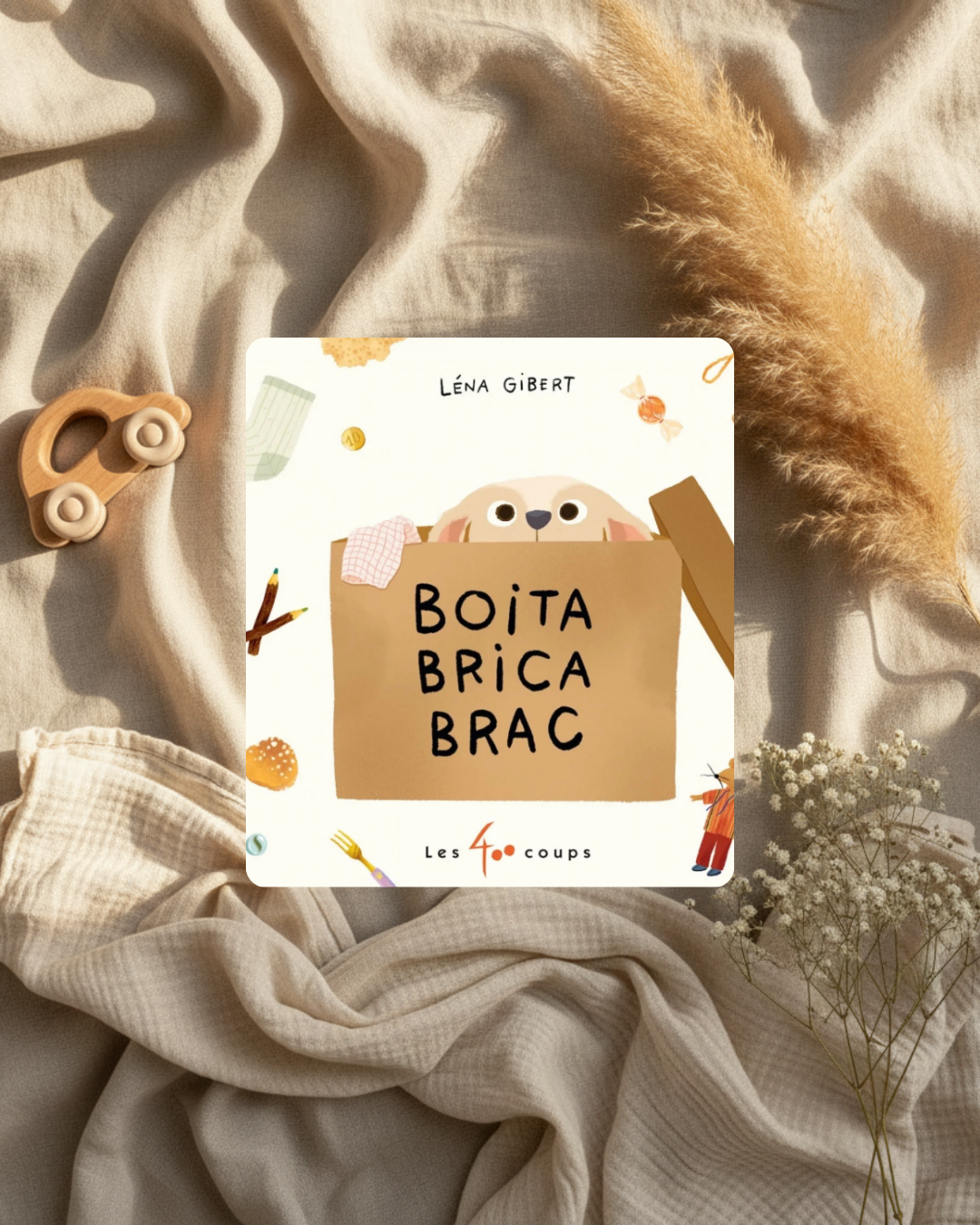 Livre - Boîte à Brica Brac - « Français »