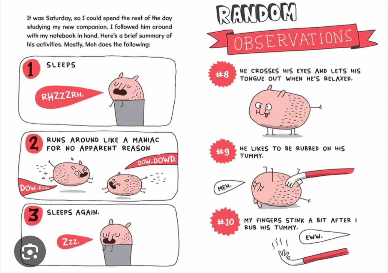 Olga « and the smelly thing » (anglais)
