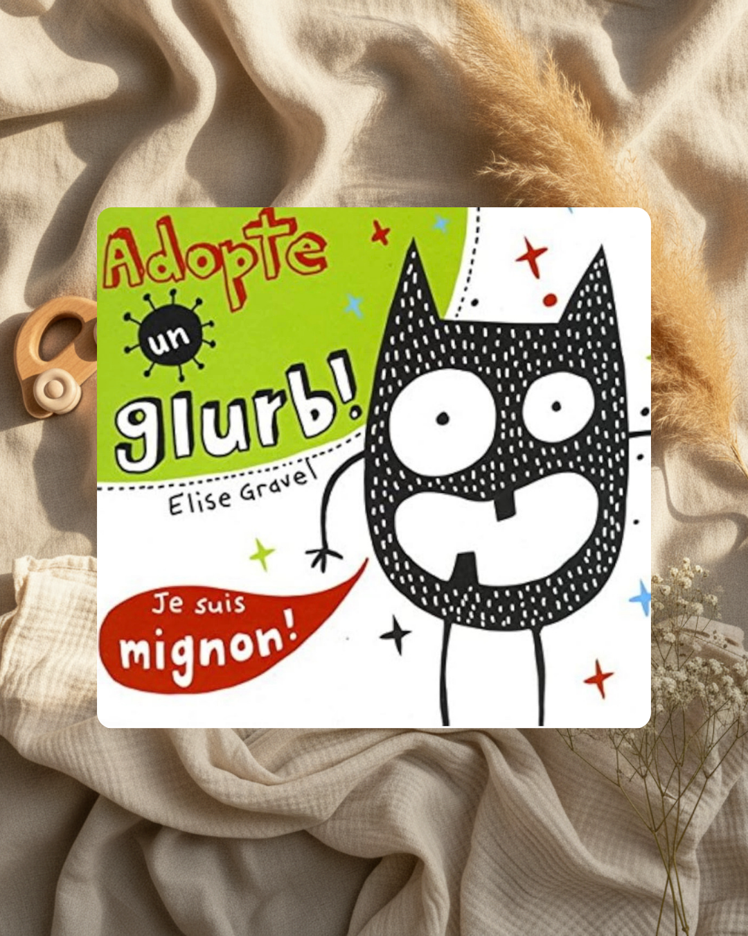 Livre- Adopte un Glurb- (français)