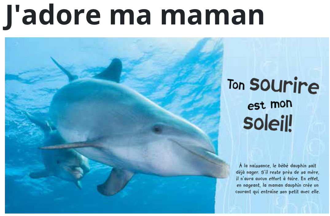Livre - J’adore ma maman- (français)