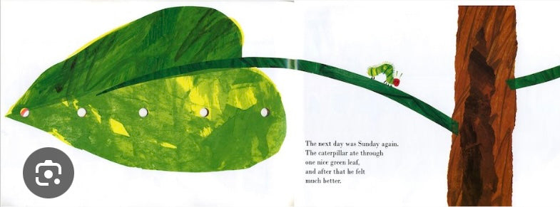 The very hungry caterpillar (anglais) *imparfait*