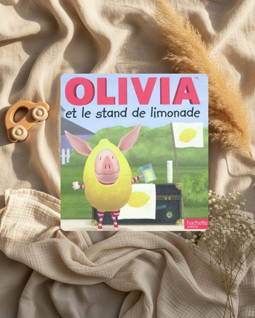 Livre - Olivia et le stand de limonade - (français)