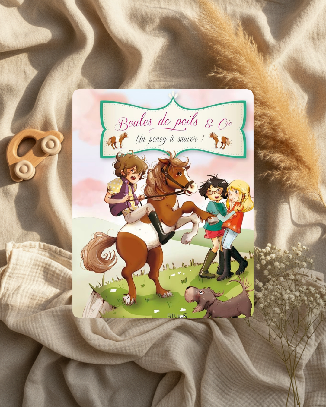 Livre jeunesse : couverture illustrée avec poneys et enfants, « Boules de poils & Cie »