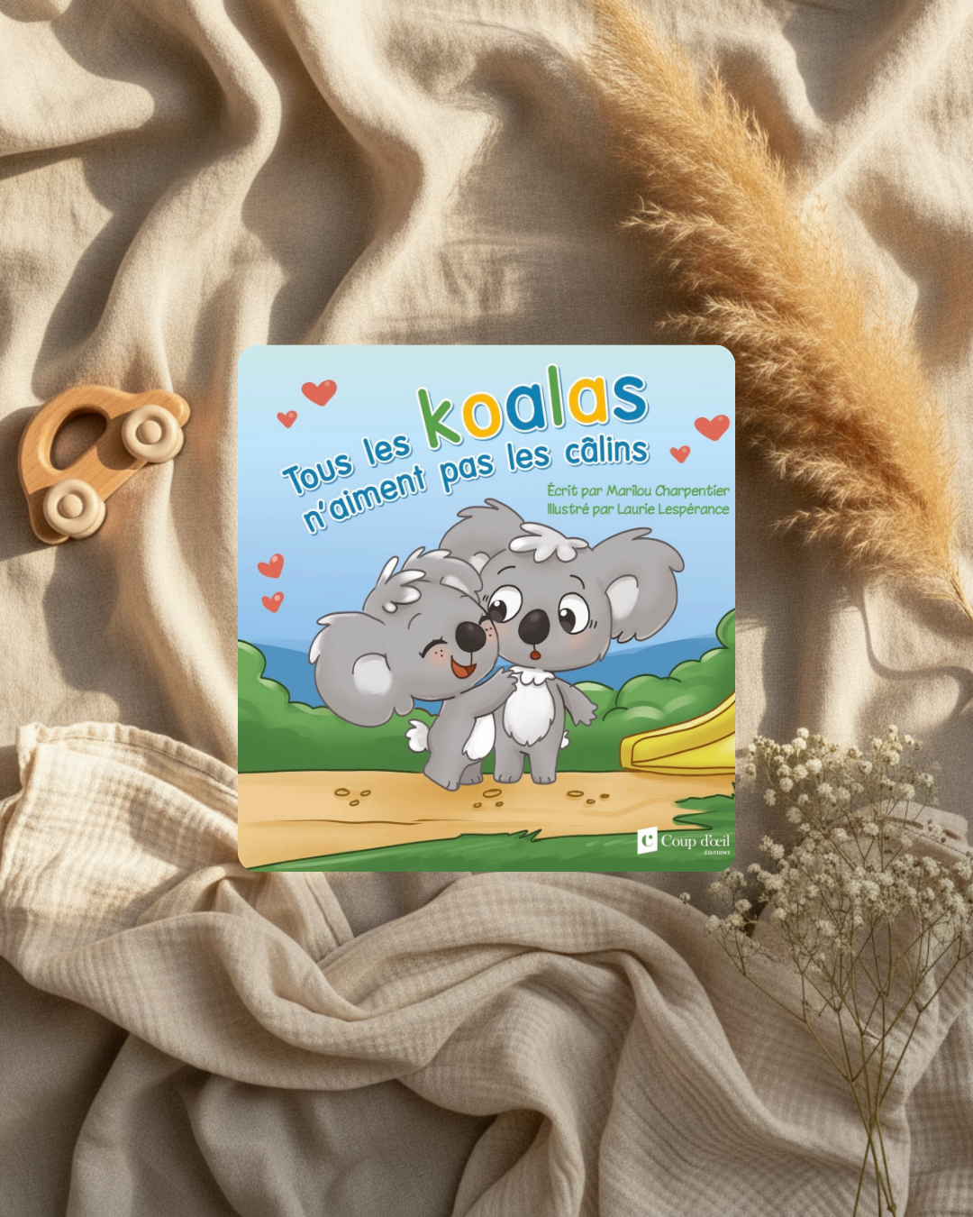 Livre - Tous les koalas n’aiment pas les câlins - (français)