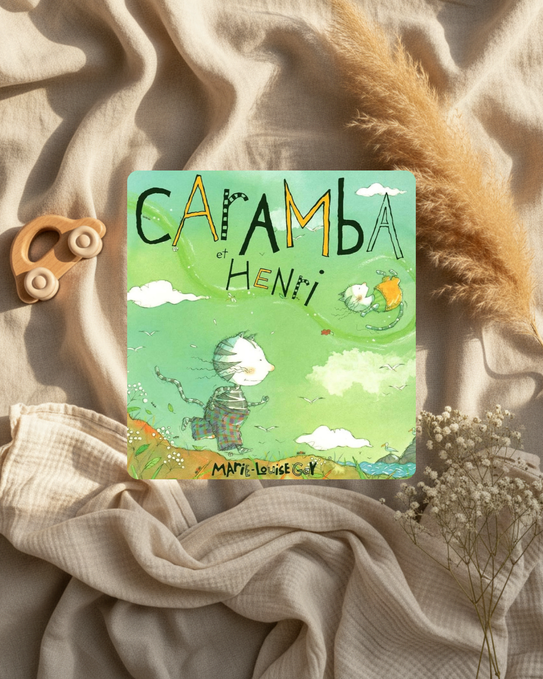 Livre pour enfants, couverture verte «Carambà et Henri» avec illustrations