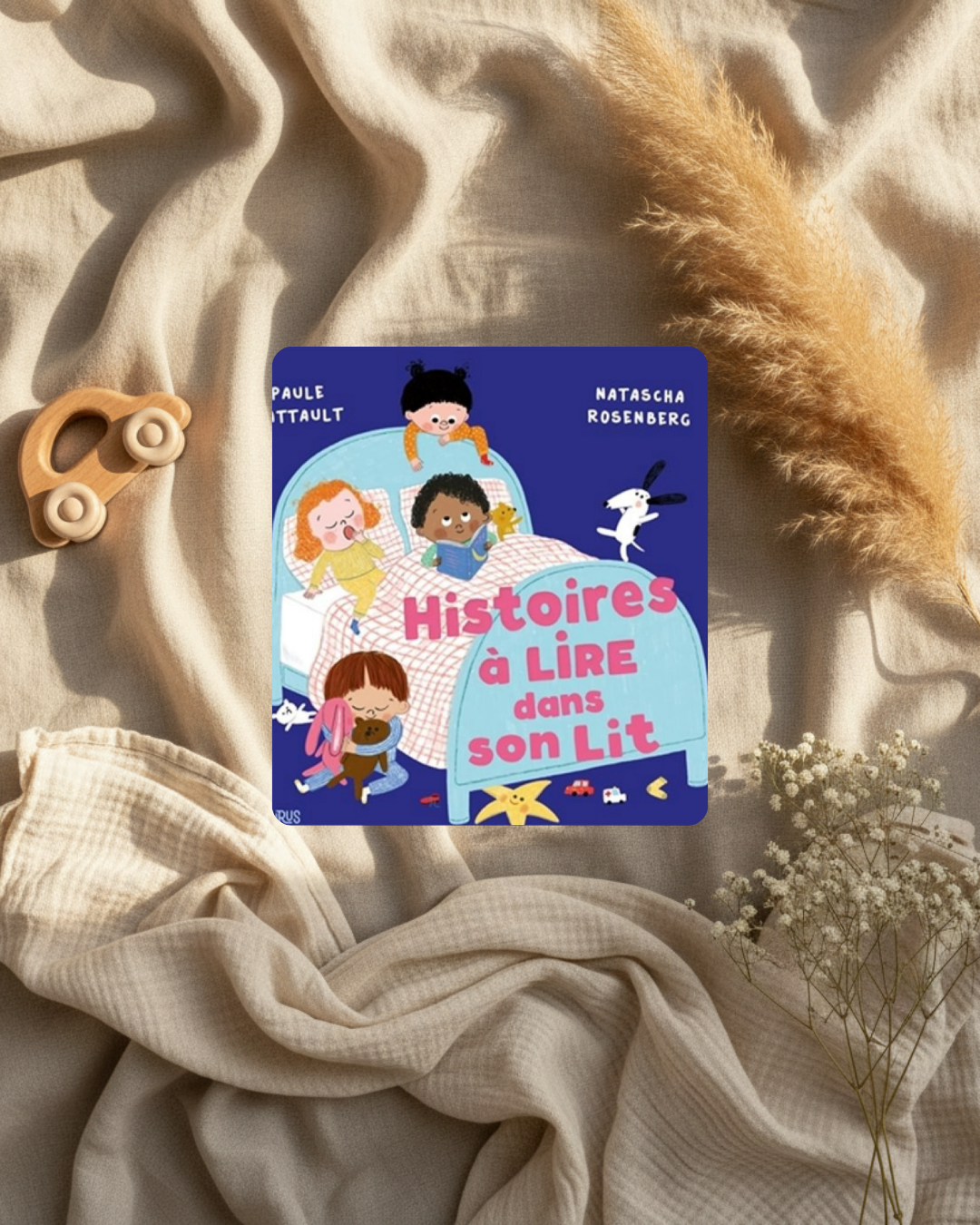 Livre jeunesse à couverture bleue «Histoires à lire dans son lit», enfants et lapin.