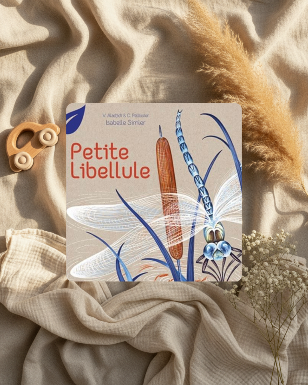 Livre - Petite Libellule - (français)