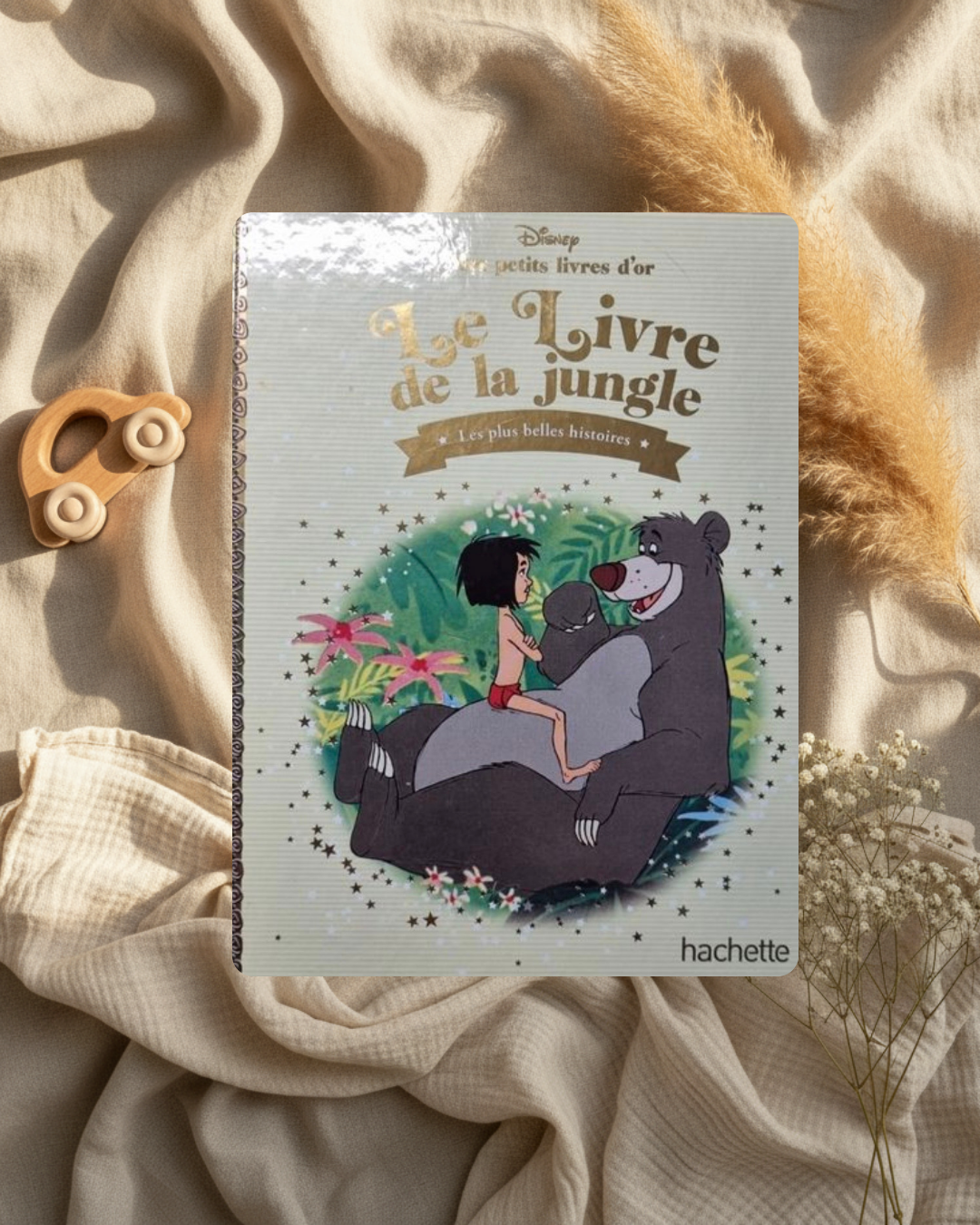 Livre - Le livre de la jungle- (français)