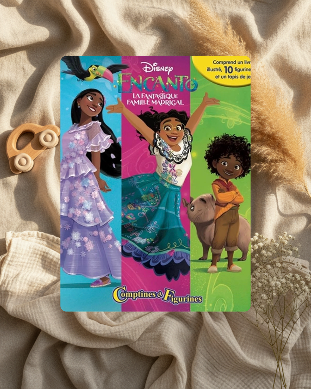 Livre et figurines - Encanto-