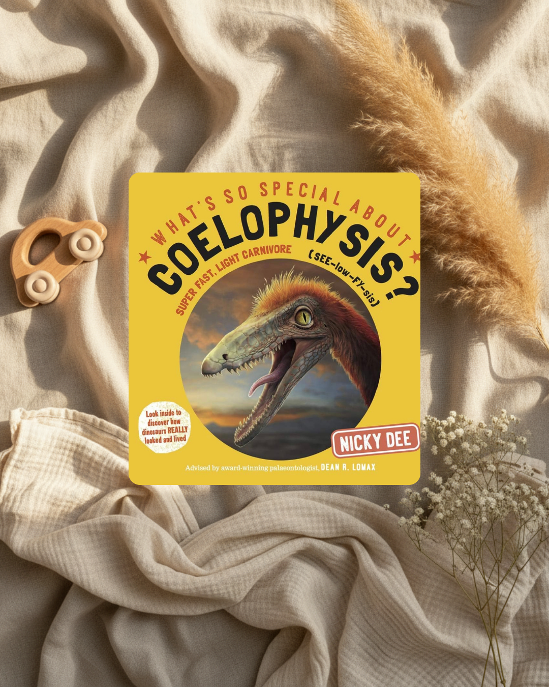 Livre jeunesse Coelophysis, couverture jaune avec dinosaure vert et Nicky Dee