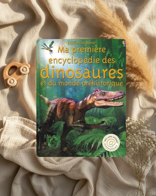 Livre jeunesse : première encyclopédie des dinosaures, couverture illustrée.