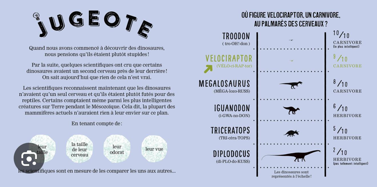 Page intérieure avec tableau comparatif de dinosaures, carnivores et herbivores