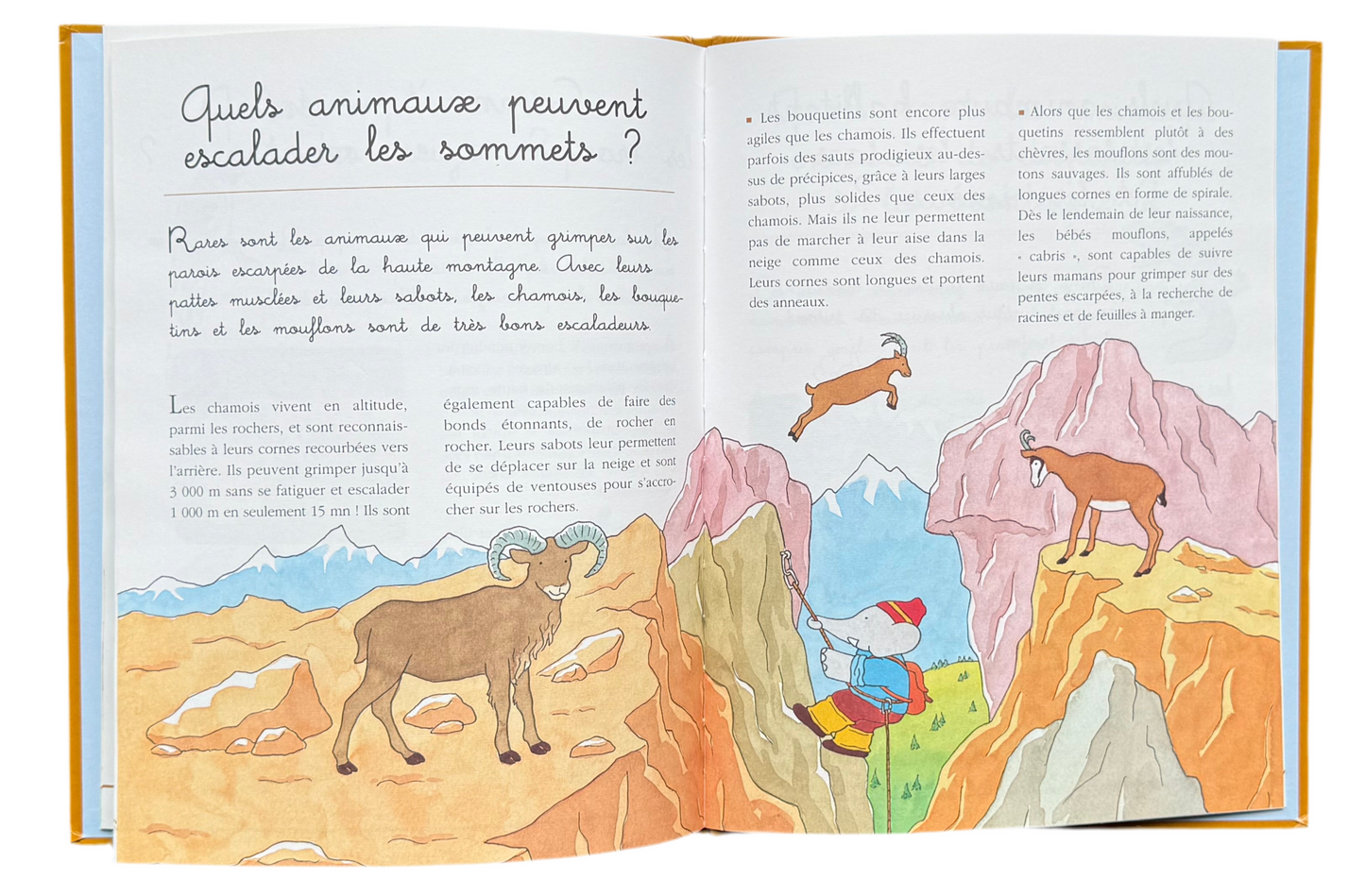 Dis-moi pourquoi Babar  « La montagne » (français)