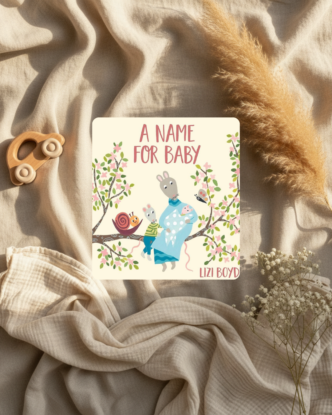 Livre - A name for baby - (anglais)