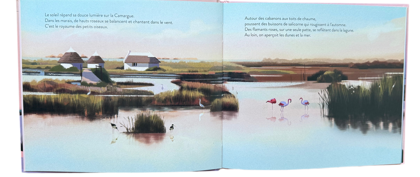 Le cheval de Camargue (Français)