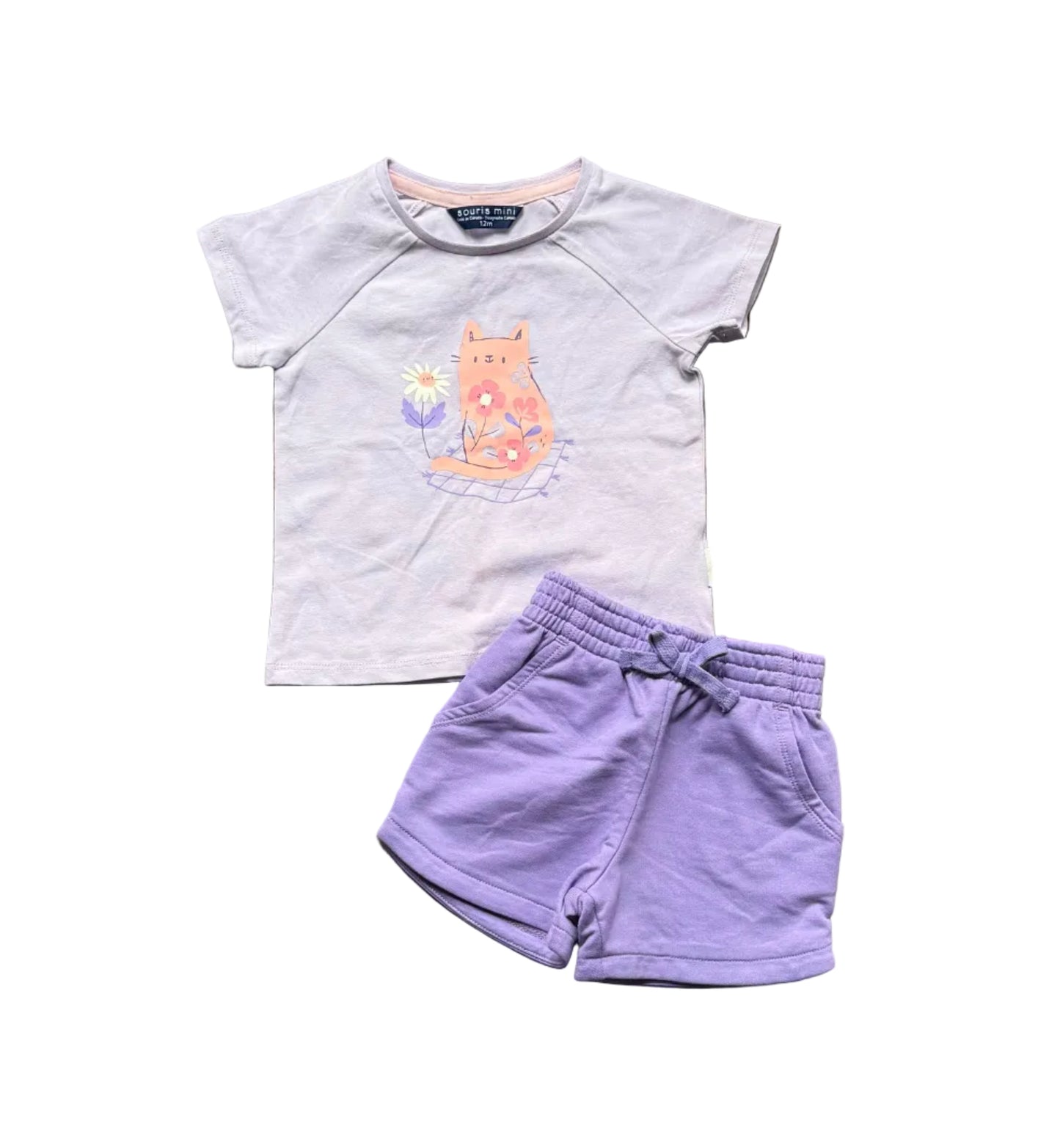 Ensemble 2 pièces 12 mois : t-shirt gris souris et short violet à motif chat