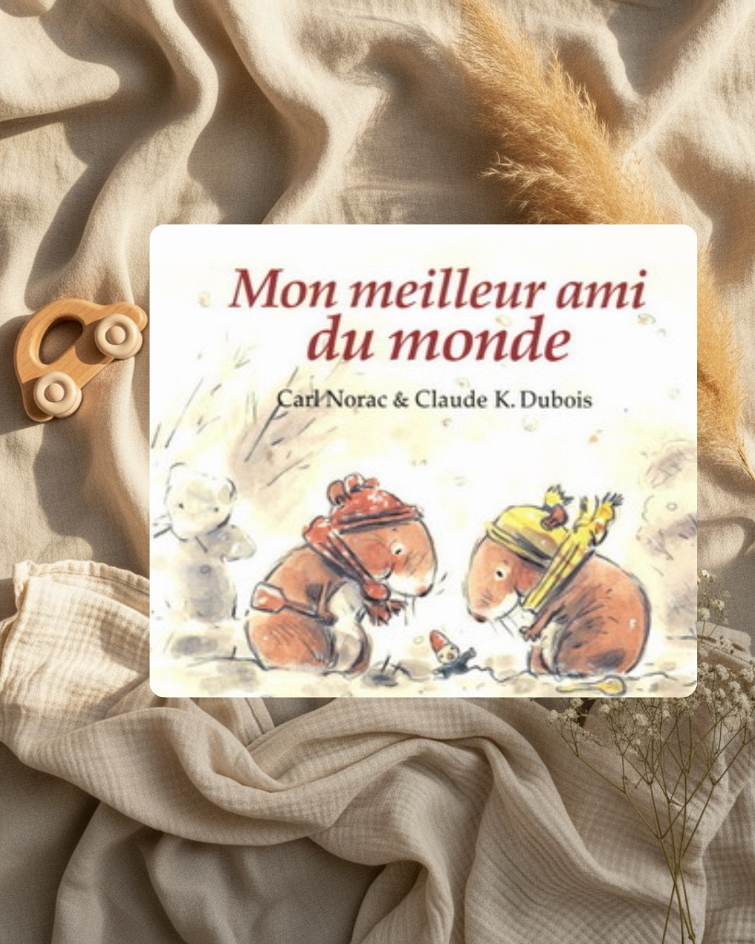 Livre- Mon meilleur ami du monde - (français)