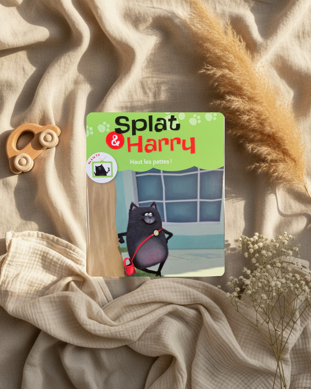 Livre - Splat & Harry - haut les pattes (français) *Neuf*