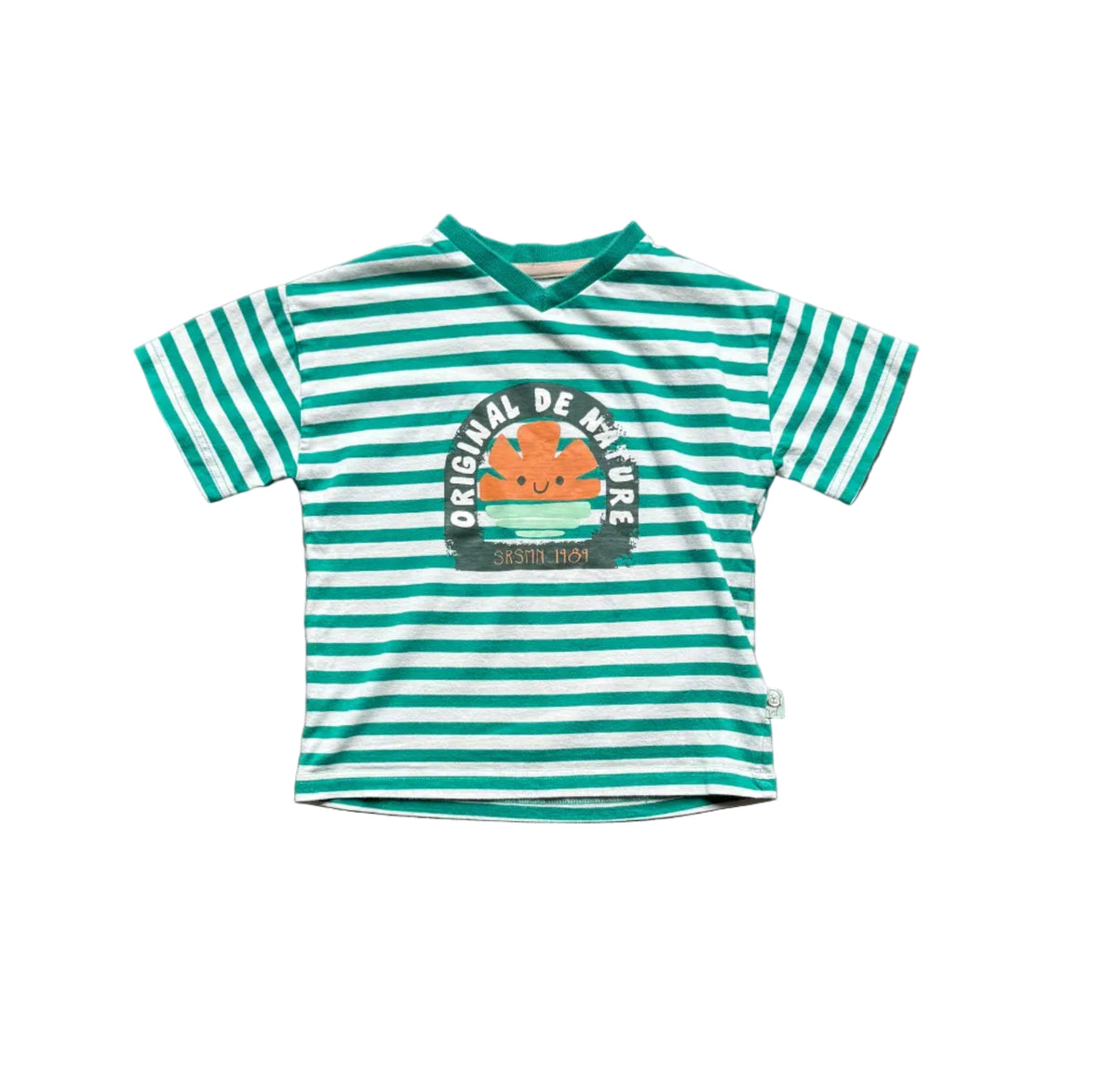 T-shirt enfant vert à rayures blanches, col en V, imprimé badge ours, taille 3 ans