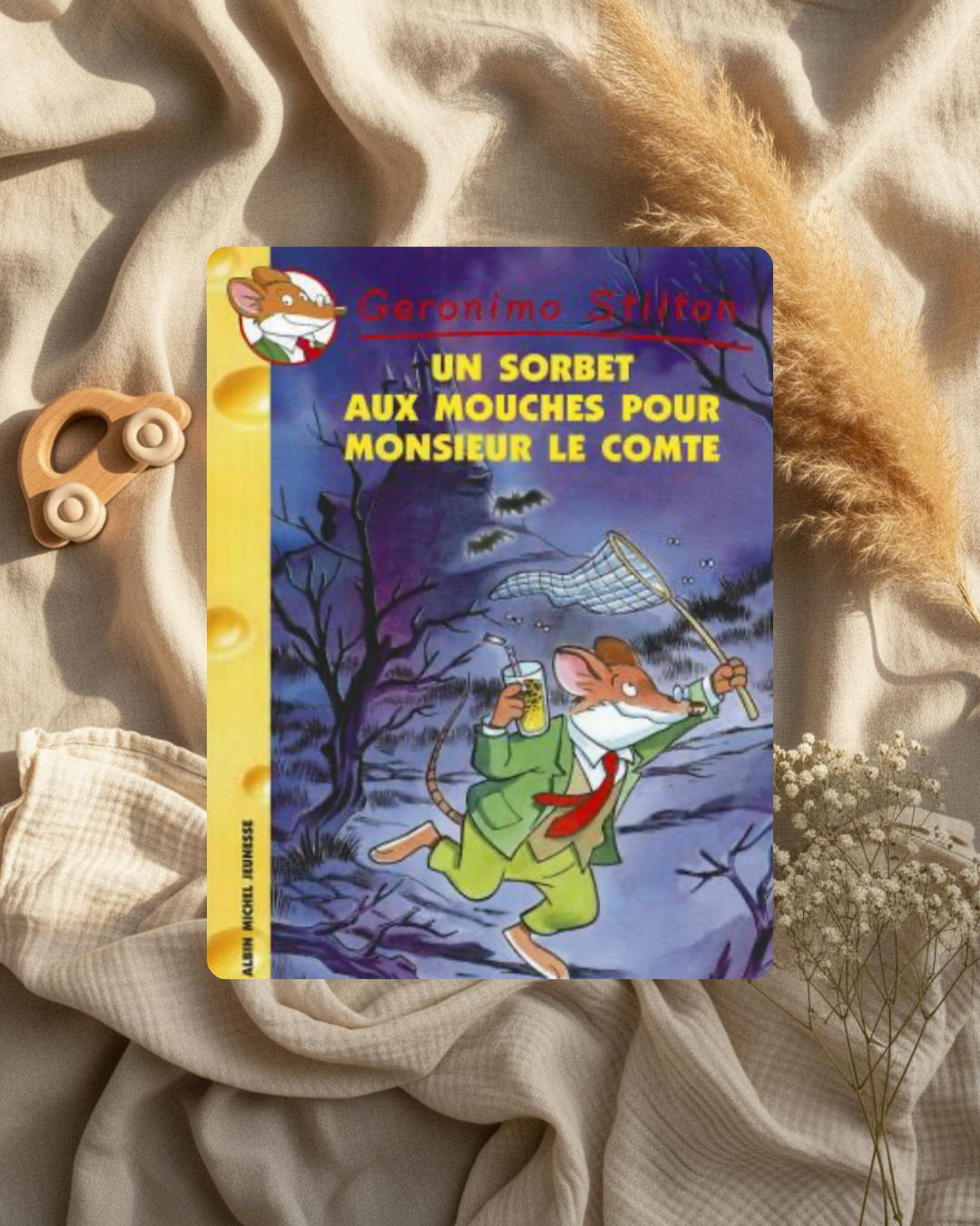 Livre Geronimo Stilton : couverture violette « Un sorbet aux mouches »