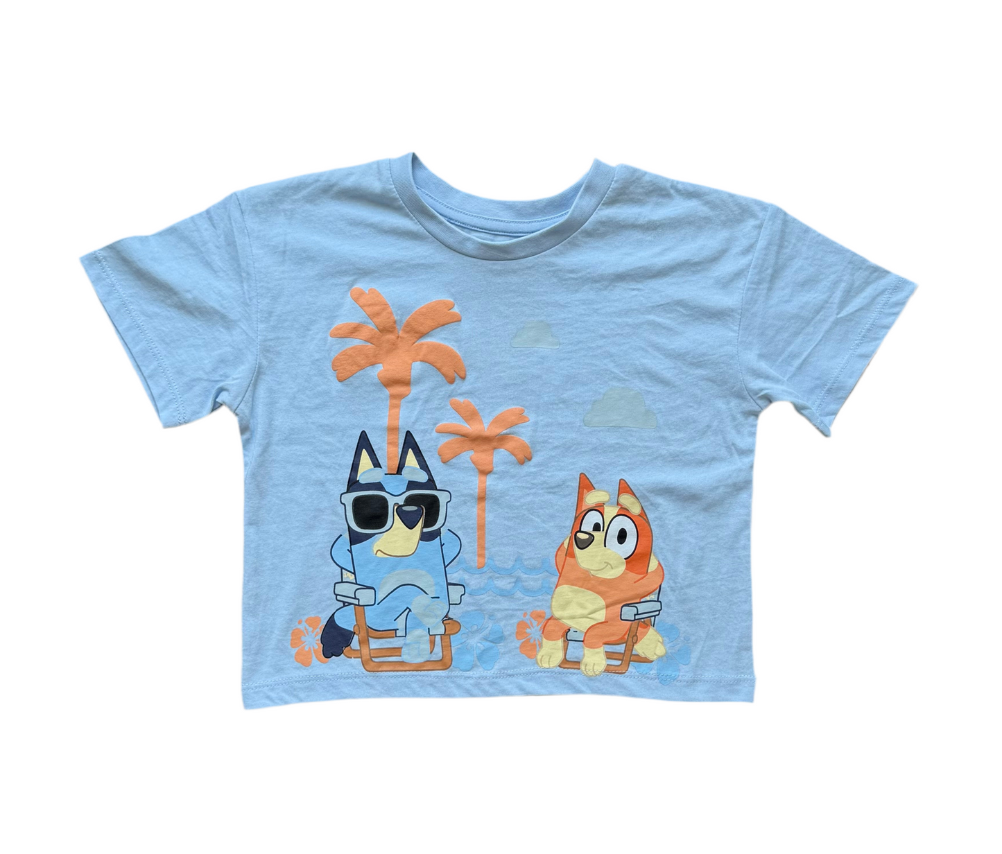 Bluey 4-5 ans