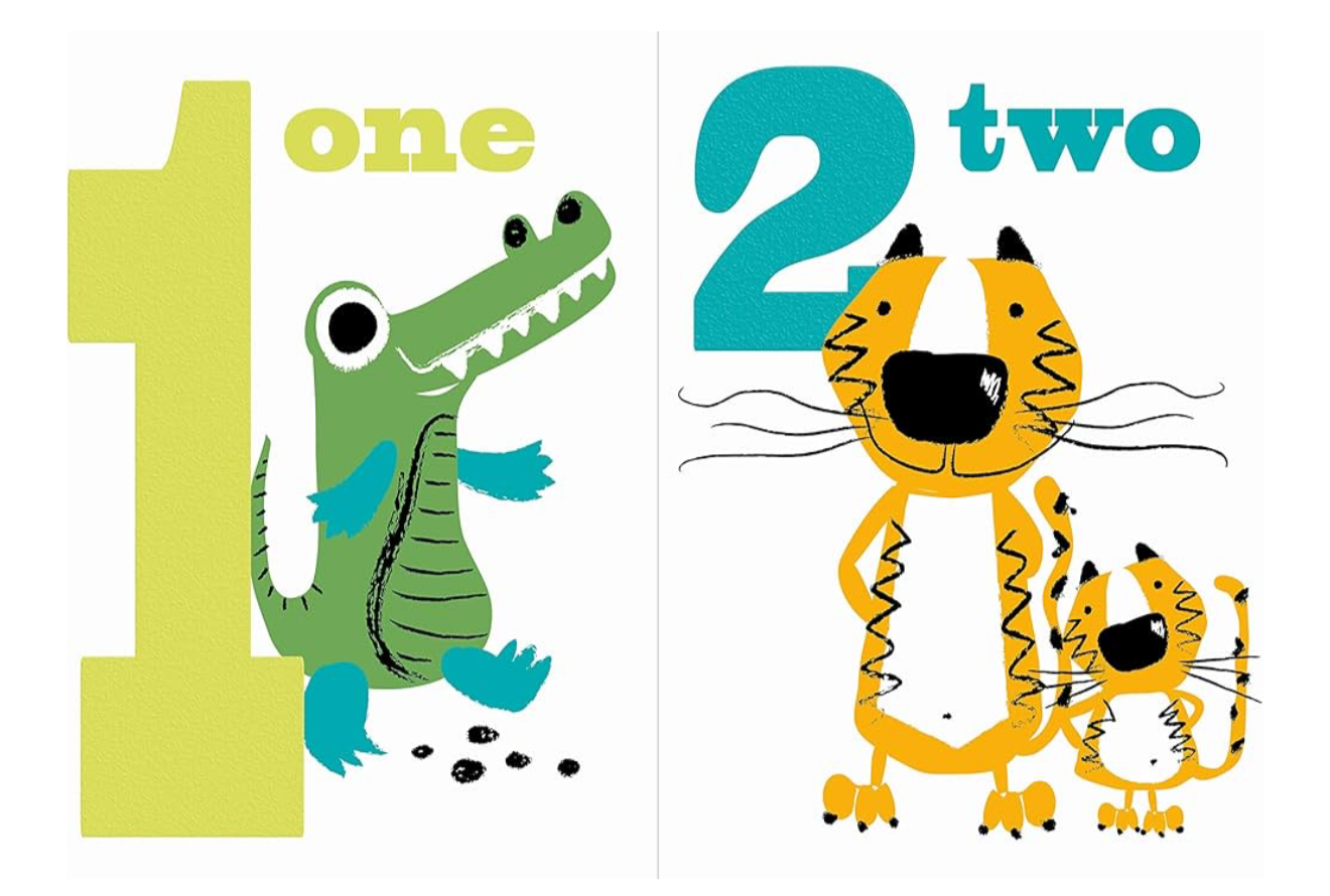 Little Numbers (anglais) *Neuf*