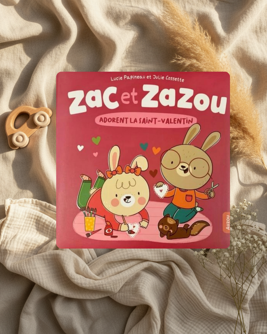 Livre - Zac et Zazou adorent la St-Valentin - (français)