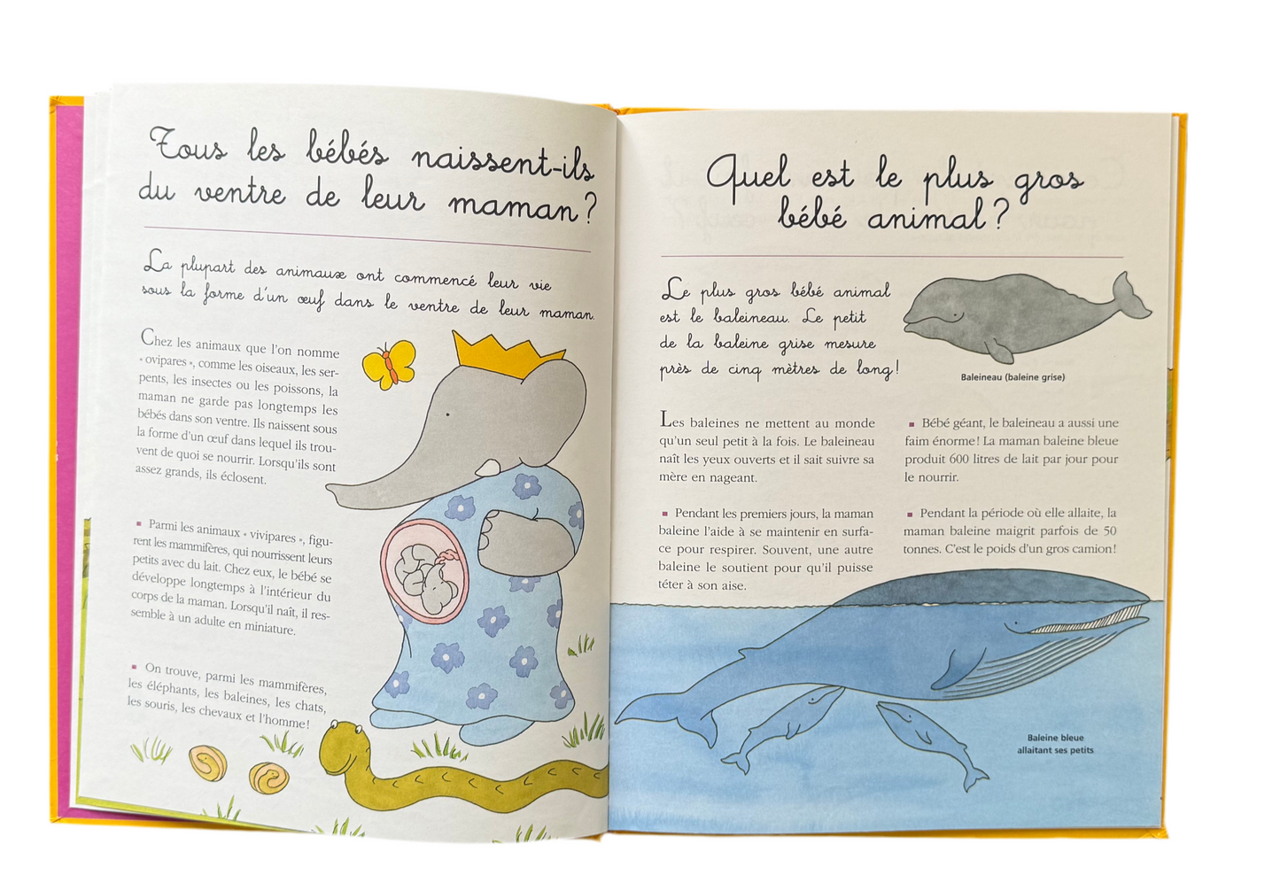 Dis-moi pourquoi Babar (français) Vintage