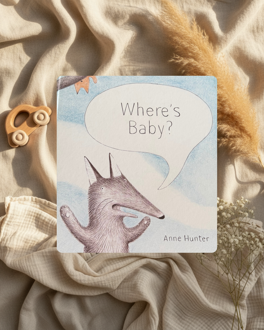 Livre - Where’s Baby - (anglais)