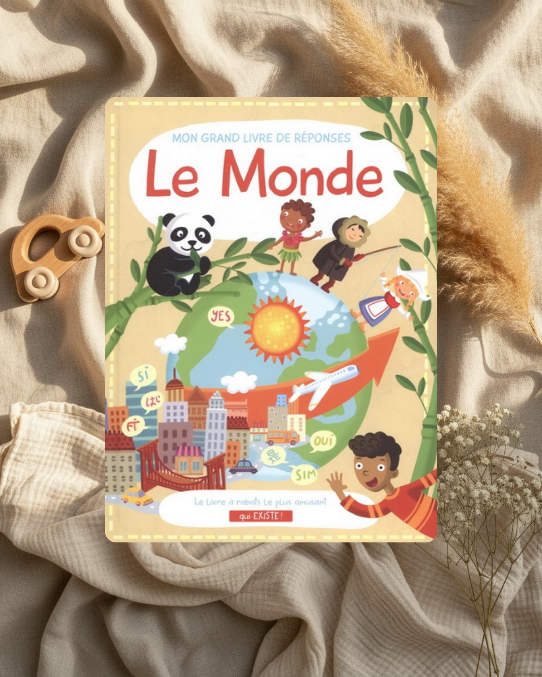 Livre - Mon grand livre le monde - (français)