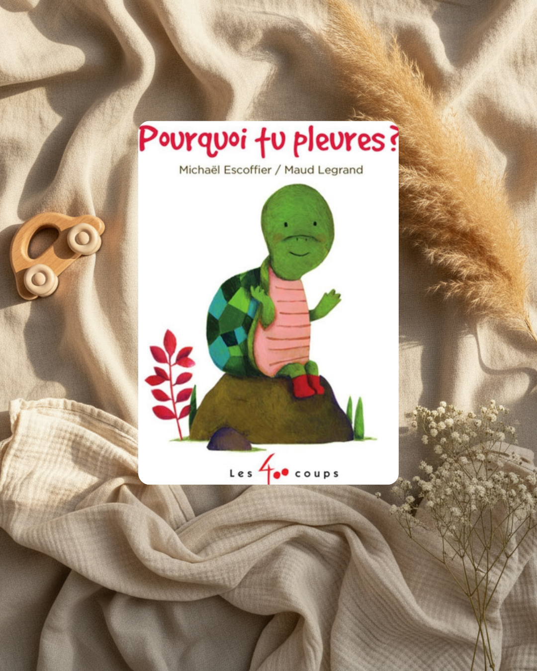Livre « Pourquoi tu pleures ? » : couverture avec alien vert, titres et auteurs.