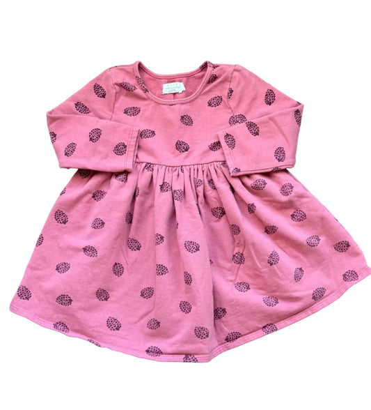 Rise Little earthlings 2-3 ans