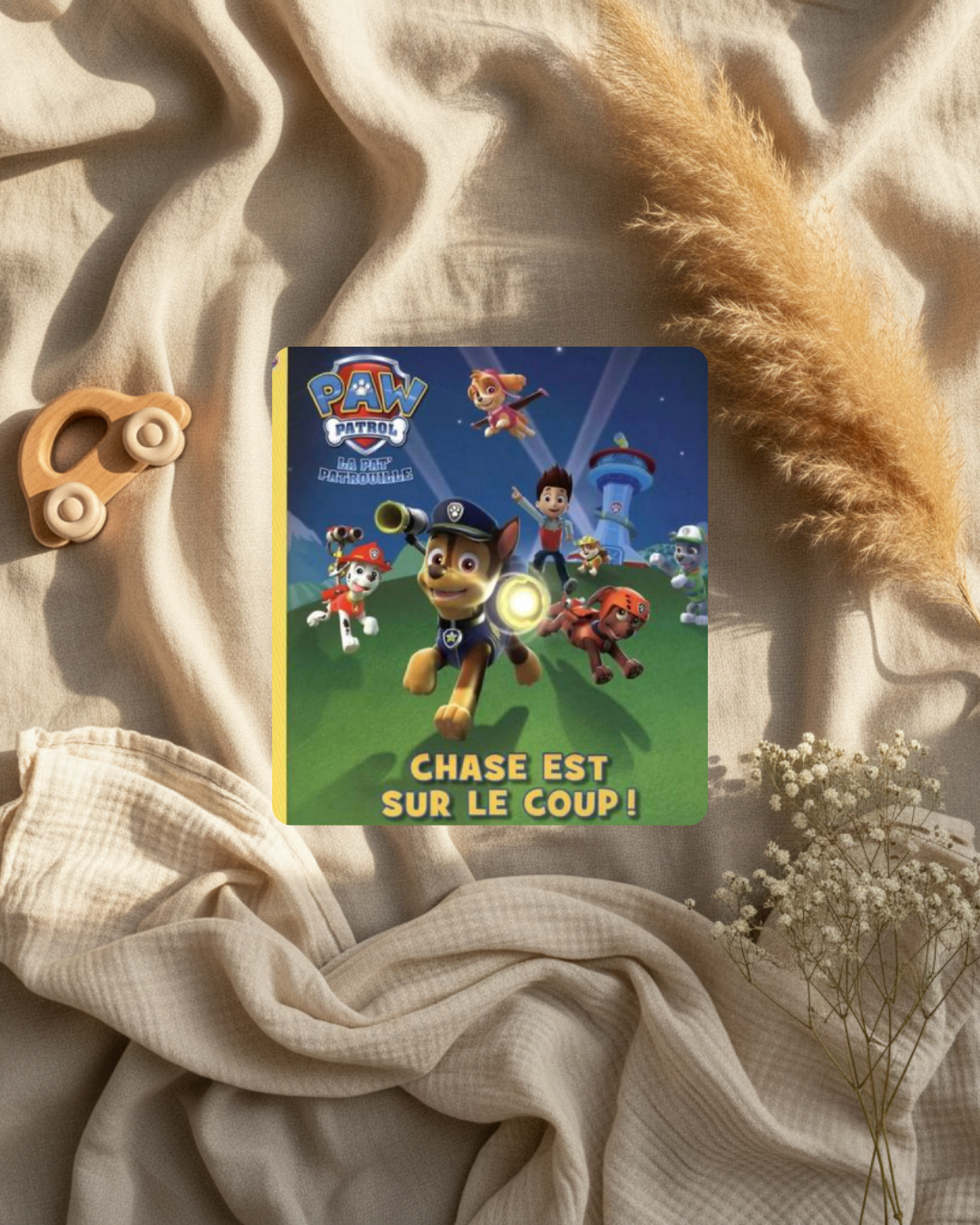 Livre - Pat’Patrouille « Chase est sur le coup ! » - (français)