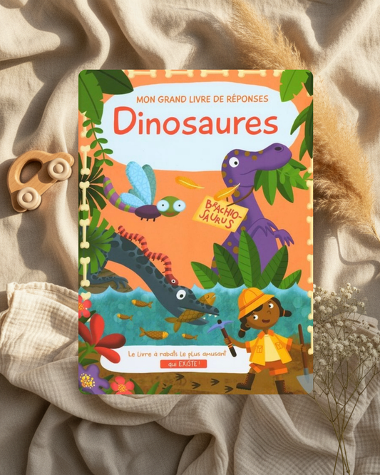Livre jeunesse Dinosaures, couverture illustrée avec dinosaures et enfant