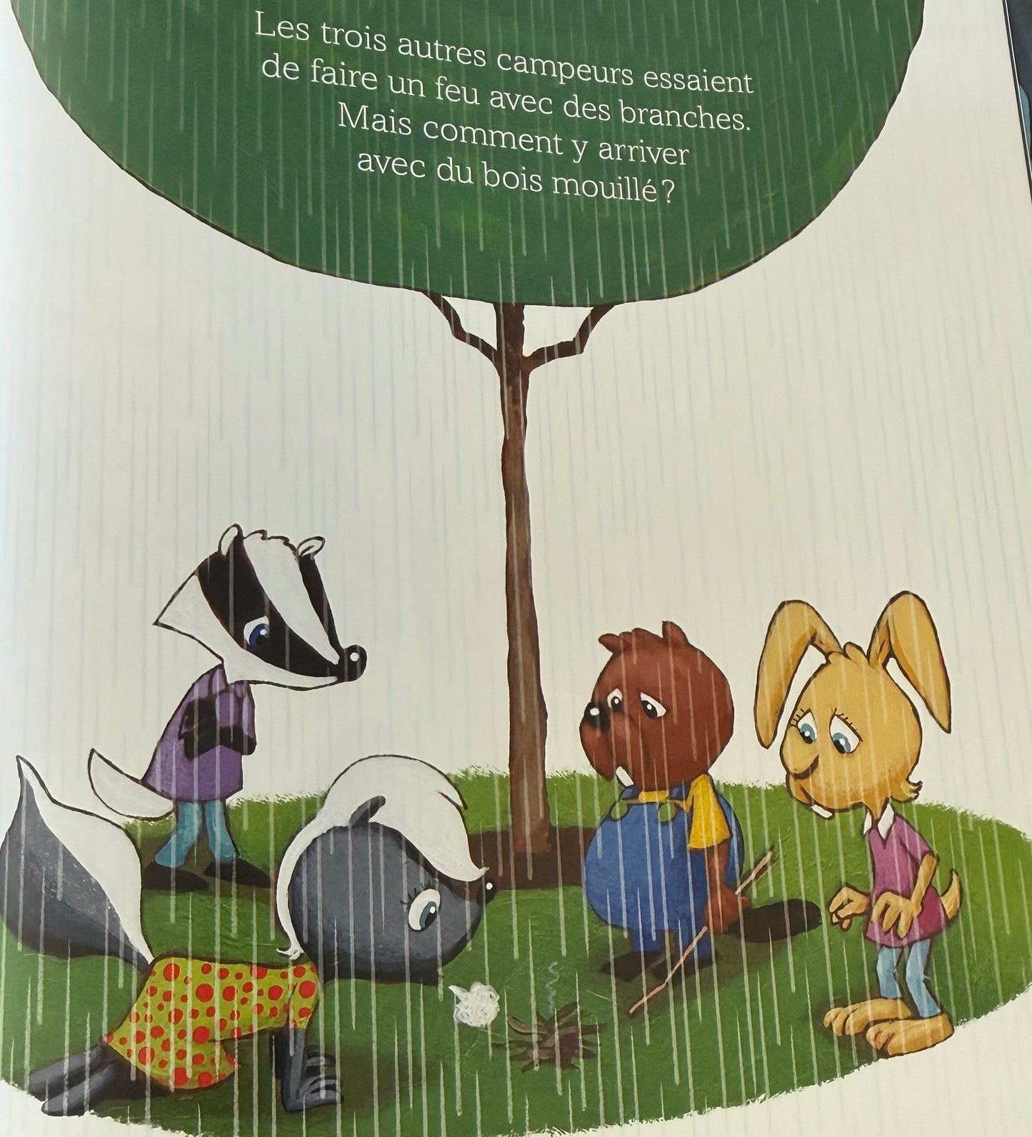 Livre - Mouffie la moufette « et le camping surprise » (français)