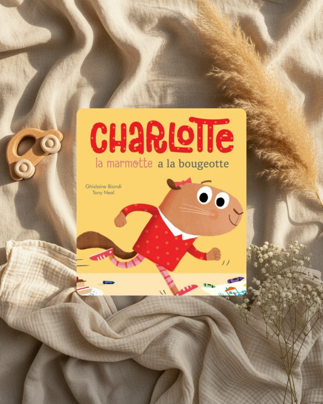 Livre jeunesse « Charlotte à la bougeotte » : couverture illustrée avec marmotte brune