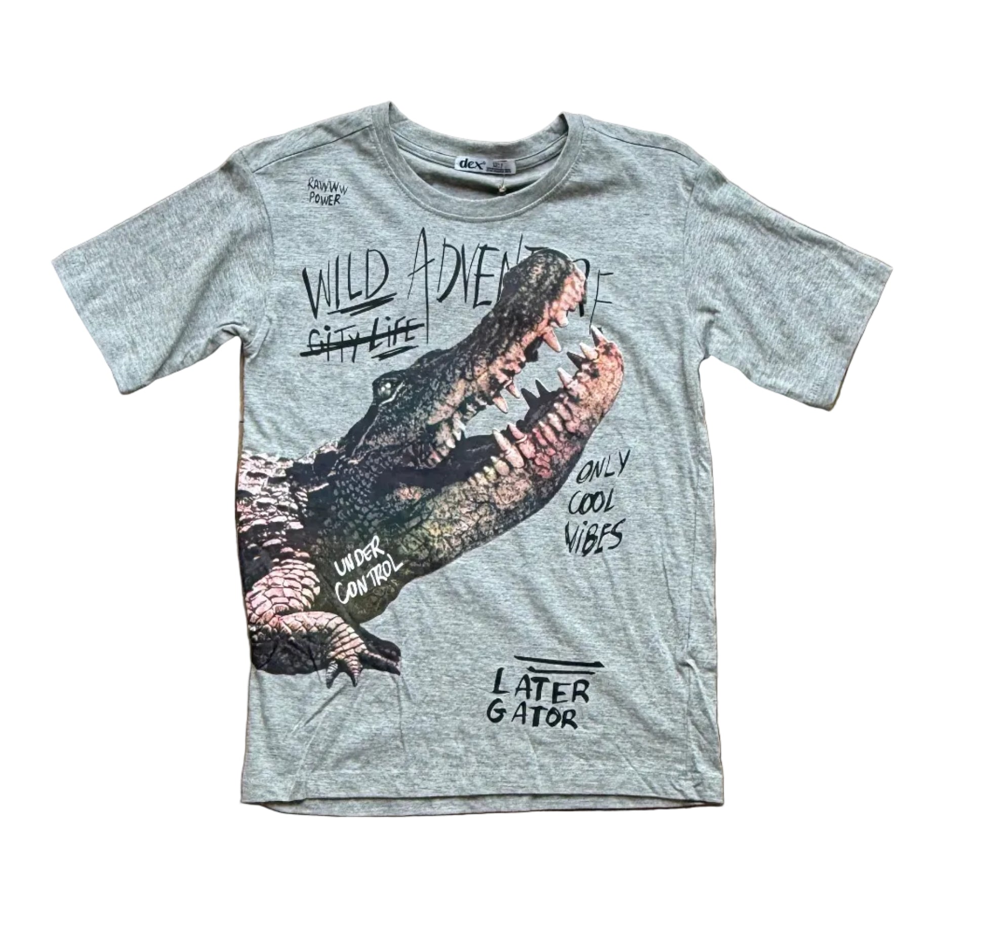 T-shirt enfant Dex gris chiné, col rond, imprimé dinosaure «WILD/ONLY».
